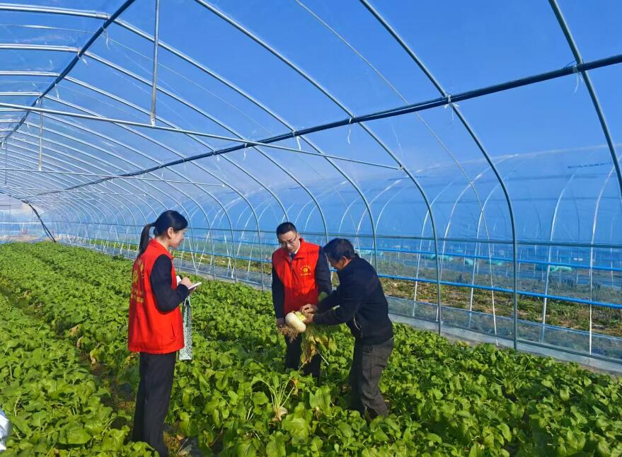 江西全省农商银行“红农商·赣先锋”金融服务队保障春耕备耕金融供给