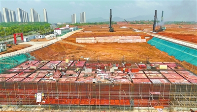 新建区强链补链成就“产业森林”
