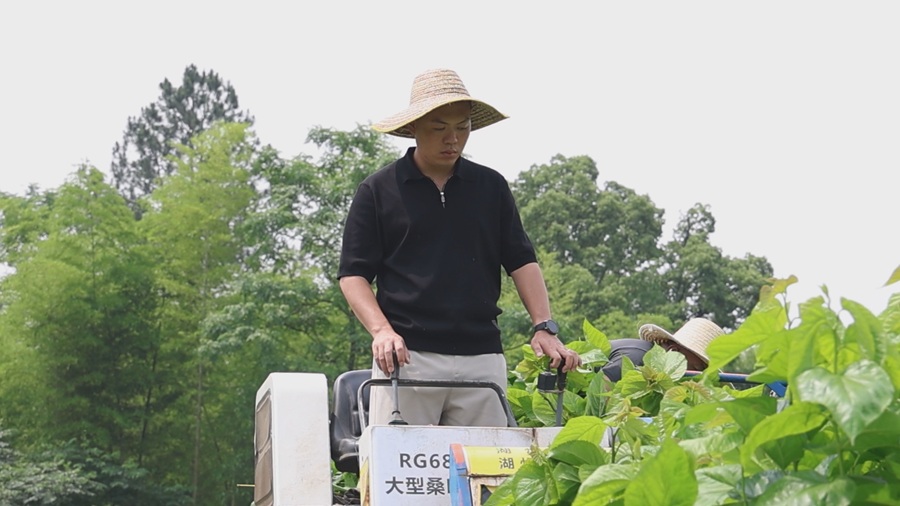 江西修水：新农人玩转传统蚕桑产业
