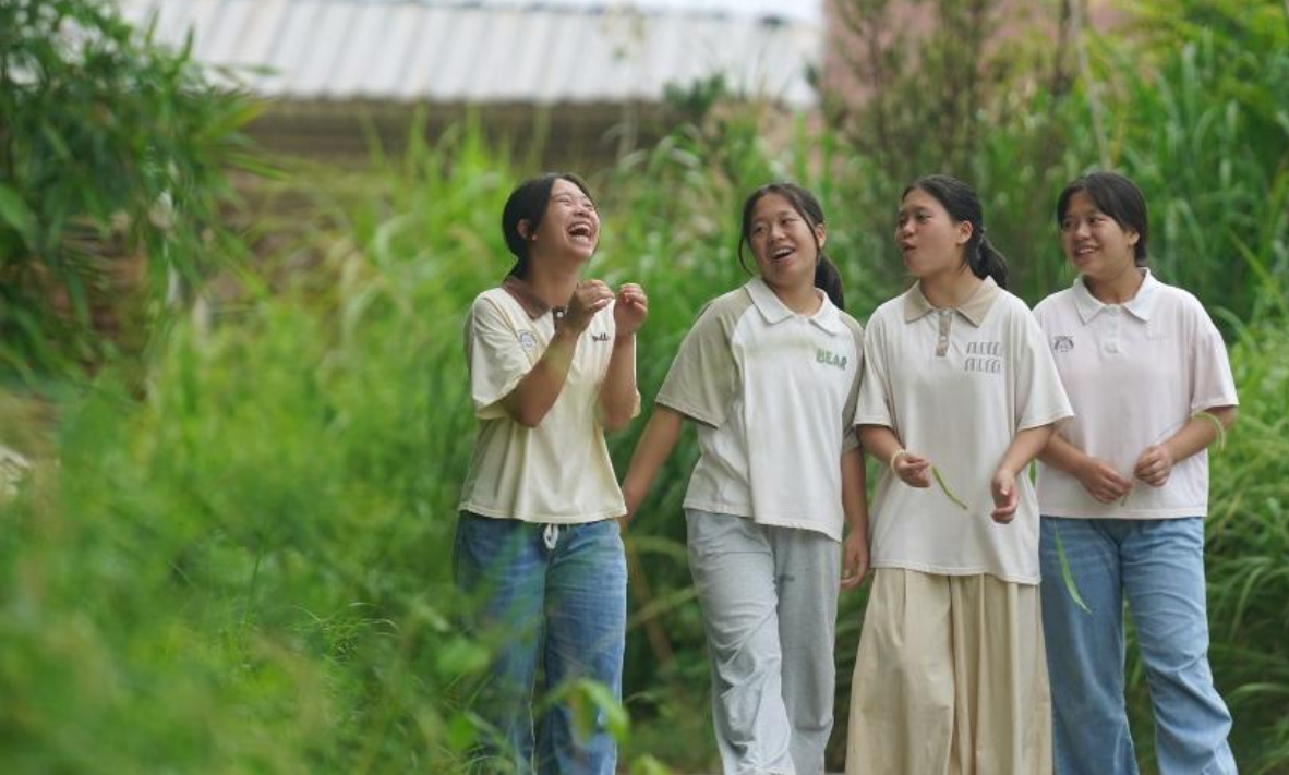 图片故事｜深山四胞胎的暑假