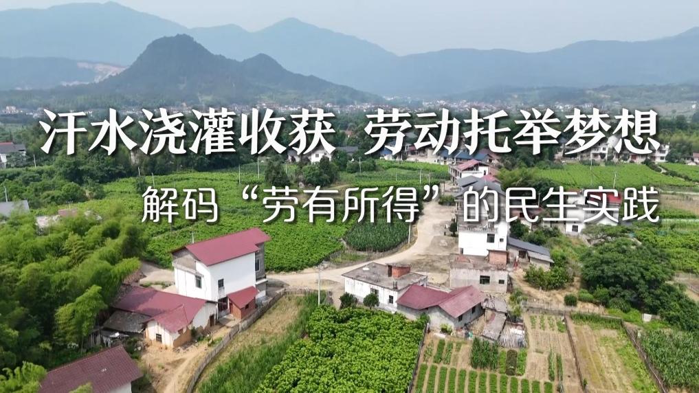 新华视点|汗水浇灌收获 劳动托举梦想——解码“劳有所得”的民生实践