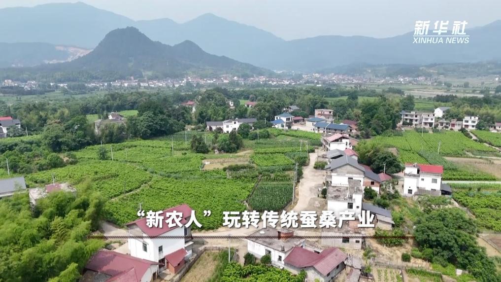 解码“劳有所得”的民生实践:“新农人”玩转传统蚕桑产业