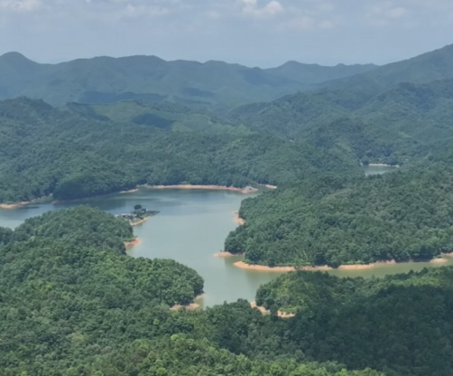 如何玩转2025江西青原山武林大会？攻略来啦！