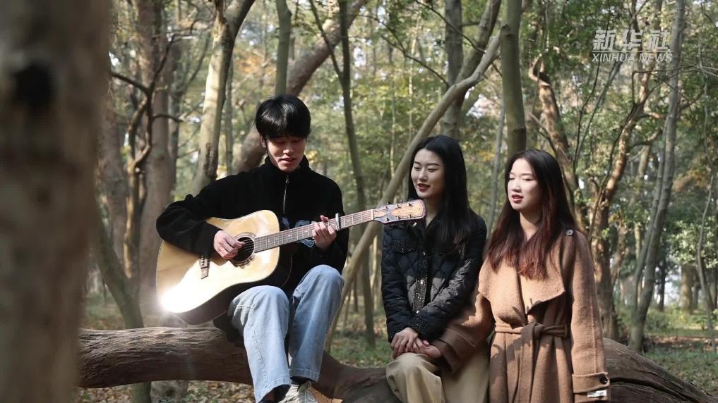 江西泰和：金滩古林彩叶正盛