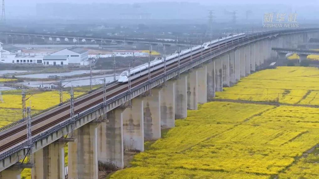开往春天的高铁 穿行金色花海