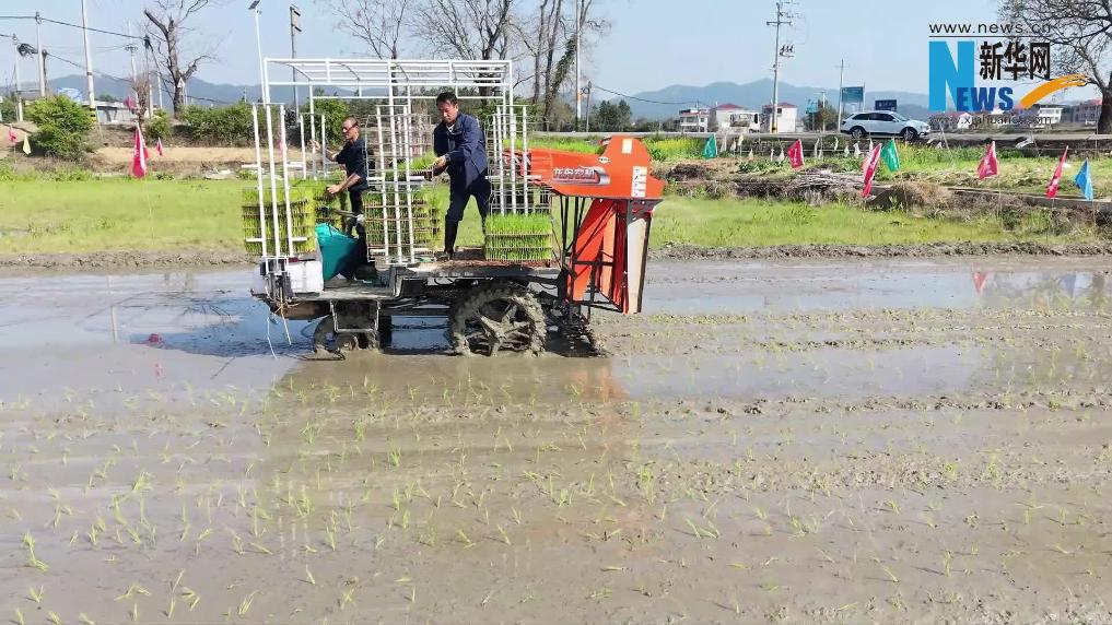 江西广昌：田间课堂传农技 科技助农促春耕