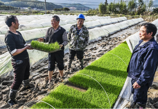 江西资溪：田间走来“老科技”