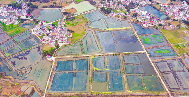 江西大余“赣南早虾”绘就致富新图景