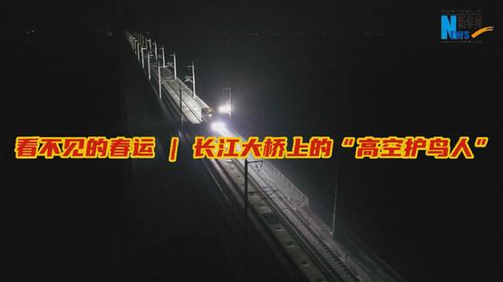 看不见的春运|长江大桥上的“高空护鸟人”