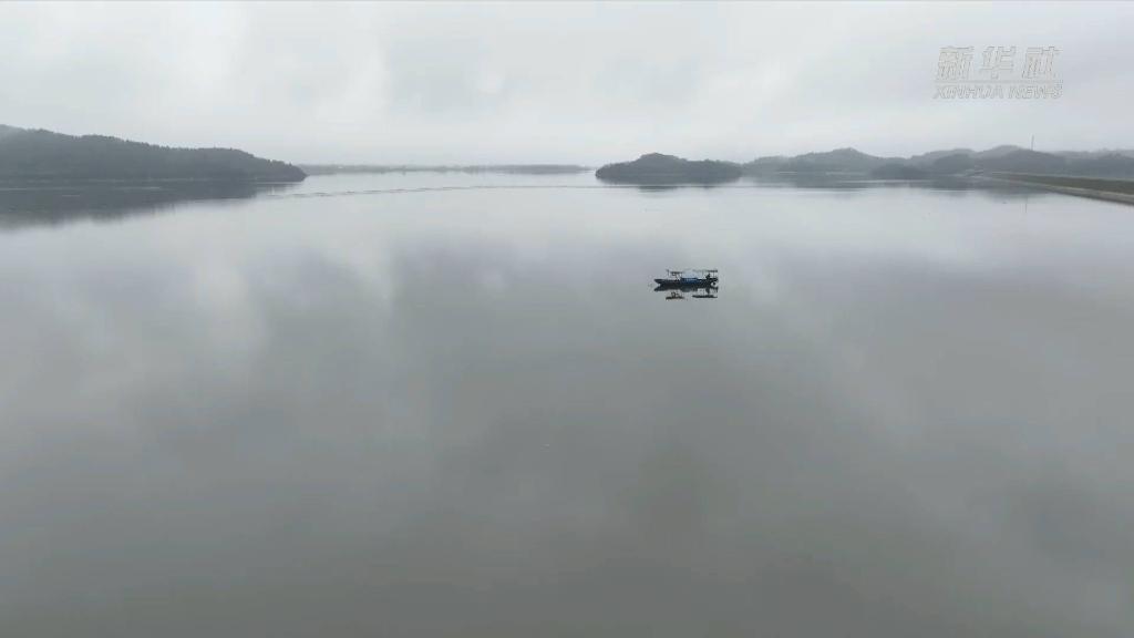 江西湖口：“搬家”后的江豚过得怎么样？